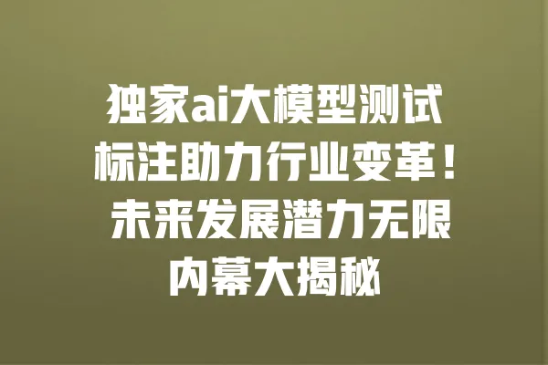 独家ai大模型测试标注助力行业变革! 未来发展潜力无限内幕大揭秘 一