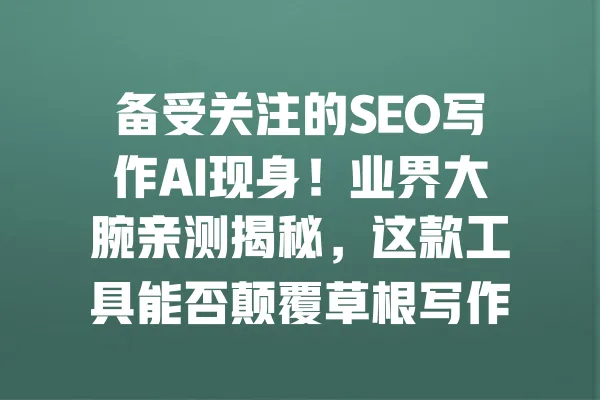 备受关注的SEO写作AI现身！业界大腕亲测揭秘，这款工具能否颠覆草根写作？ 一