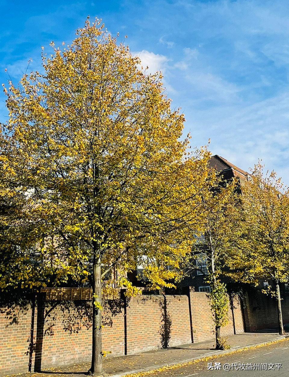 重生逆袭:新任主母携夫共创辉煌人生! 3 重生逆袭:新任主母携夫共创辉煌人生! 3