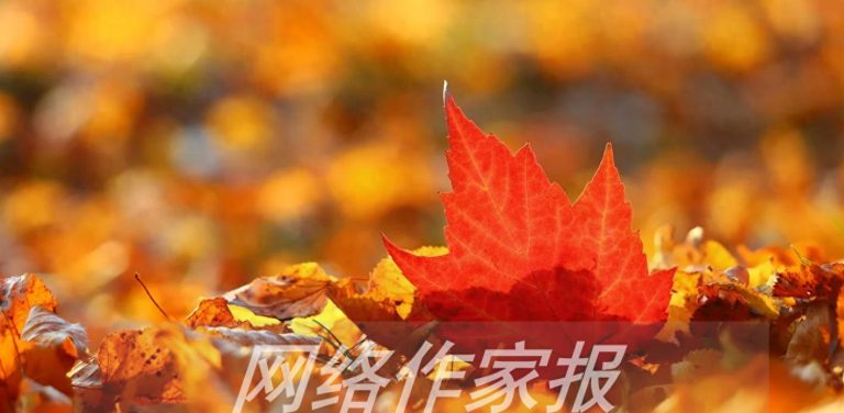 一位网文作者的AI写作经历,带来的深刻启示与反思 一位网文作者的AI写作经历,带来的深刻启示与反思