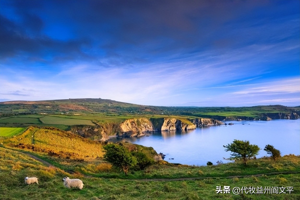 被放逐的女王意外逆袭，破解家族诅咒重获新生！ 2