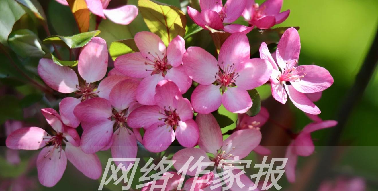 一位网文作者的AI写作经历,带来的深刻启示与反思 2 一位网文作者的AI写作经历,带来的深刻启示与反思 2